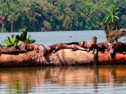 El Misterioso Lago Sandoval