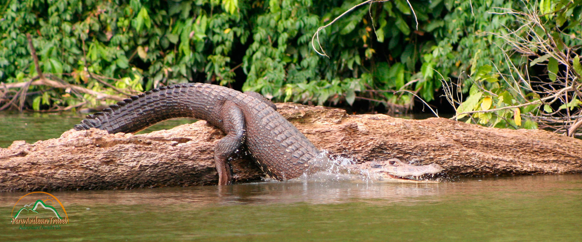 Manu National Park