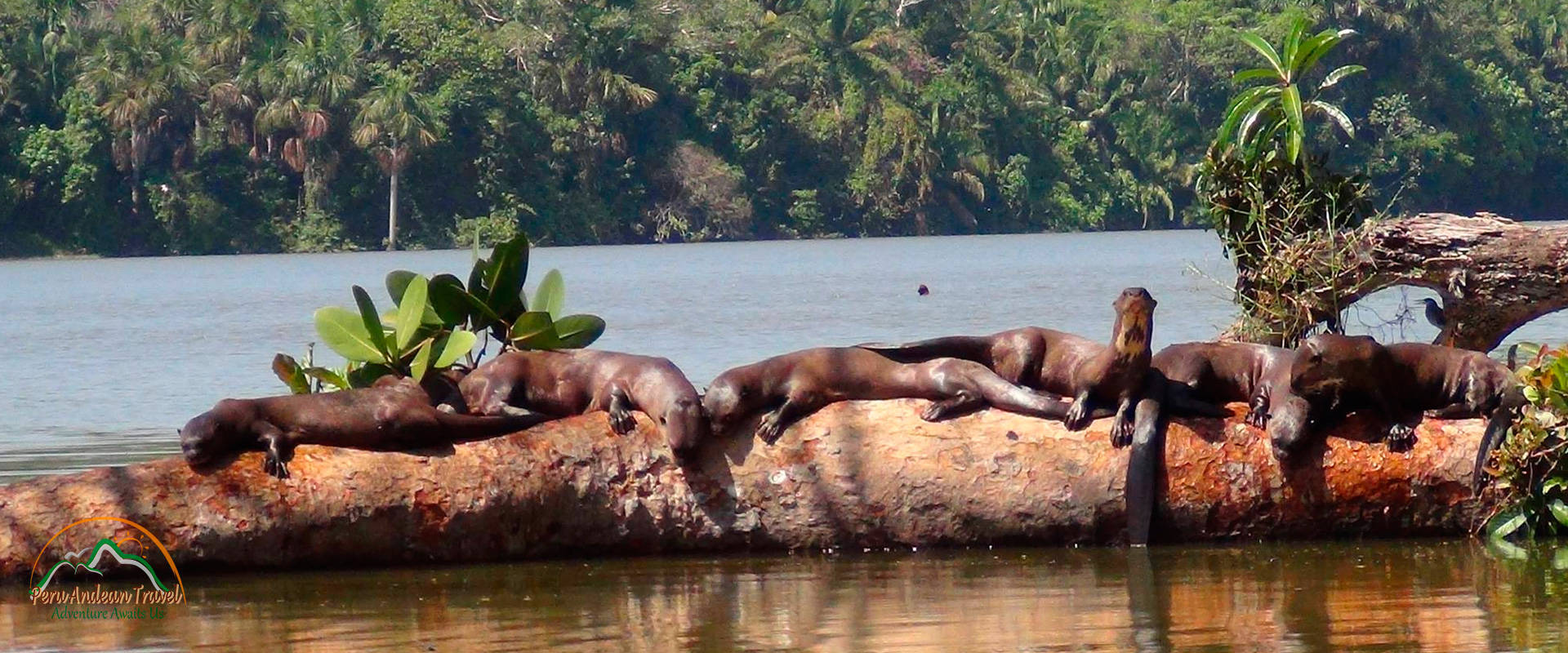 El Misterioso Lago Sandoval