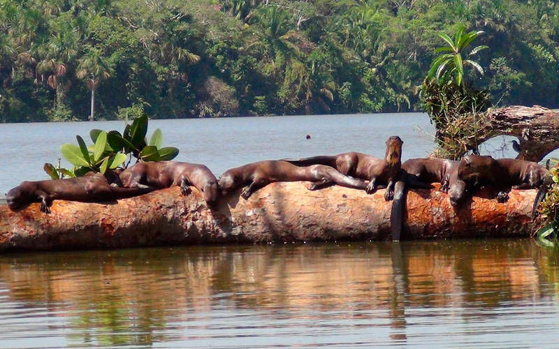 El Misterioso Lago Sandoval