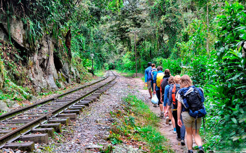 Inca Jungle to Machupicchu